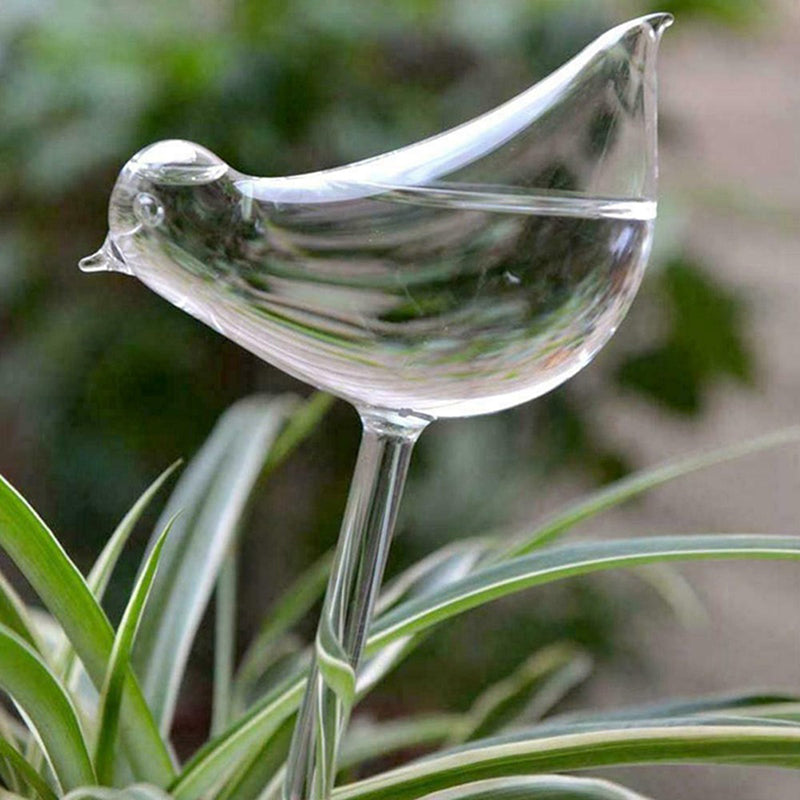 ציפורי זכוכית להשקיה אוטומטית